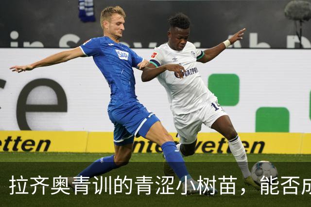 拉齐奥青训的青涩小树苗，能否成长为参天大树？